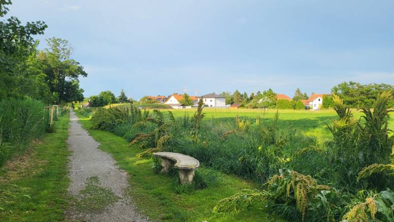 Sale Land – for living, Land – for living, Neusiedl am See, Austria