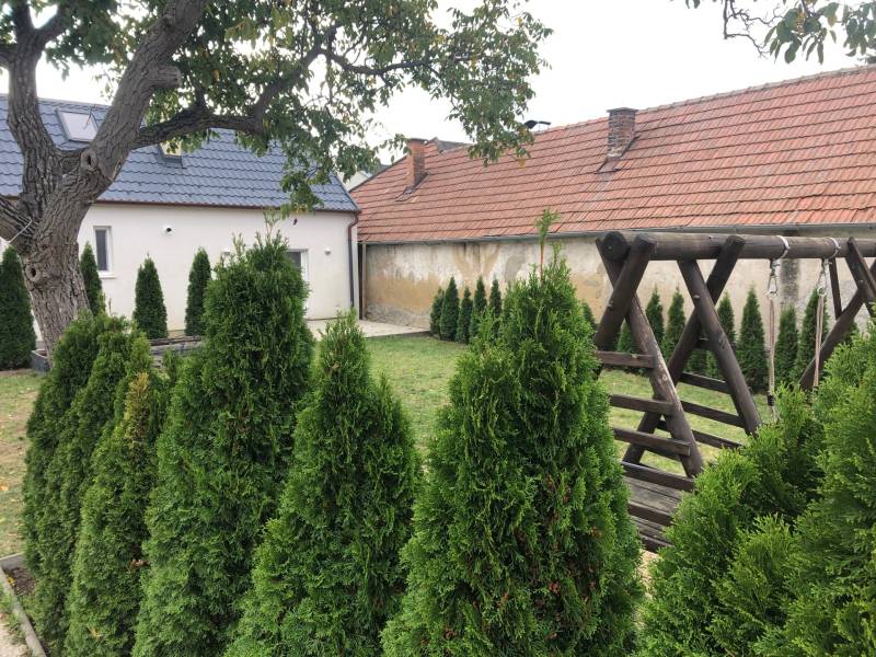 Rent Family house, Family house, Neusiedl am See, Austria