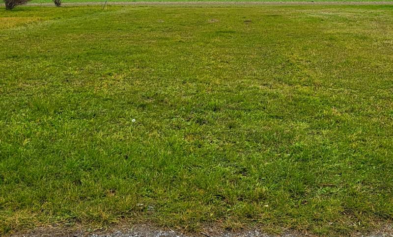 Sale Land – for living, Land – for living, Bruck an der Leitha, Austri