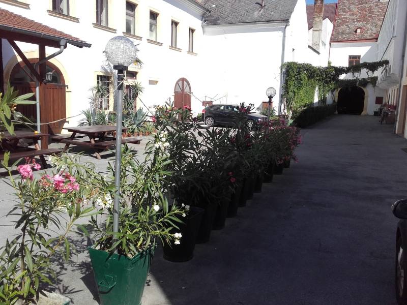 Rent Commercial premises, Commercial premises, Bruck an der Leitha, Au