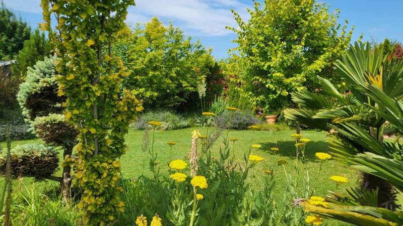Sale Family house, Family house, Neusiedl am See, Austria