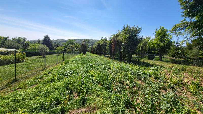 Sale Land – for living, Land – for living, Neusiedl am See, Austria