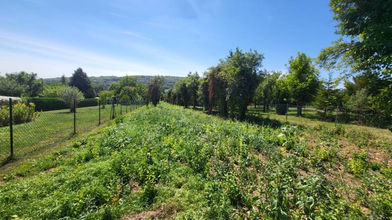 Sale Land – for living, Land – for living, Neusiedl am See, Austria