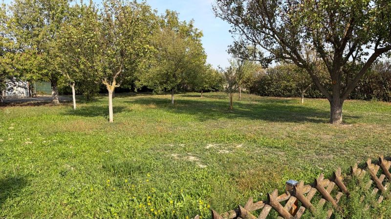 Sale Land – for living, Land – for living, Neusiedl am See, Austria