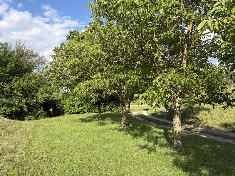 Sale Special estates, Special estates, Neusiedl am See, Austria