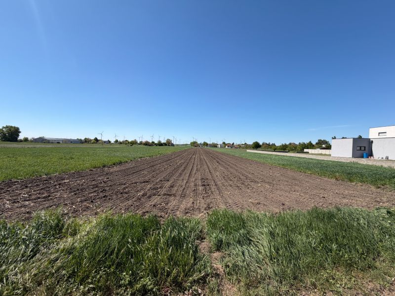 Sale Land – for living, Land – for living, Neusiedl am See, Austria