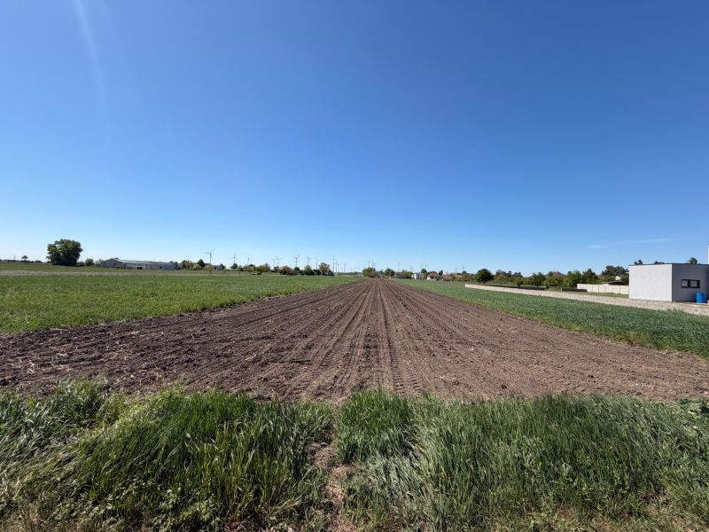 Sale Land – for living, Land – for living, Neusiedl am See, Austria