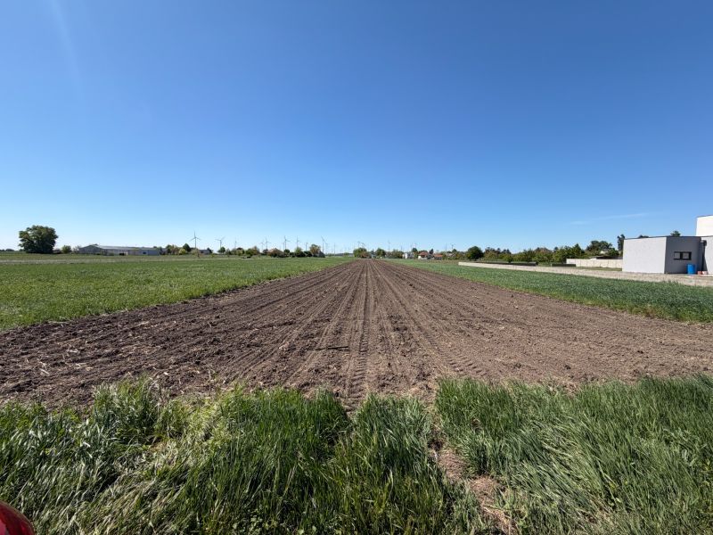 Sale Land – for living, Land – for living, Neusiedl am See, Austria